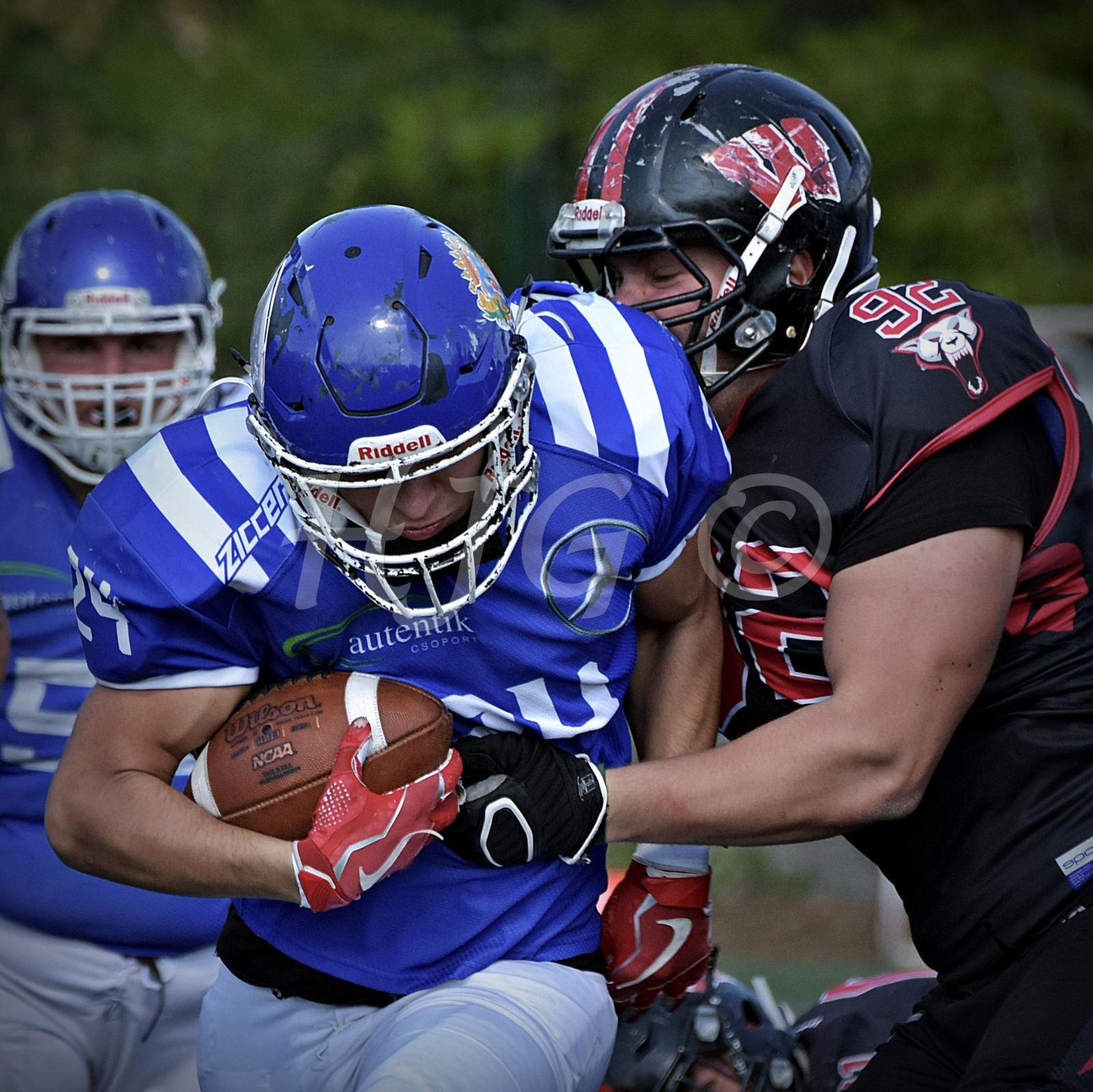 Budapest Wolves vs Győr Sharks