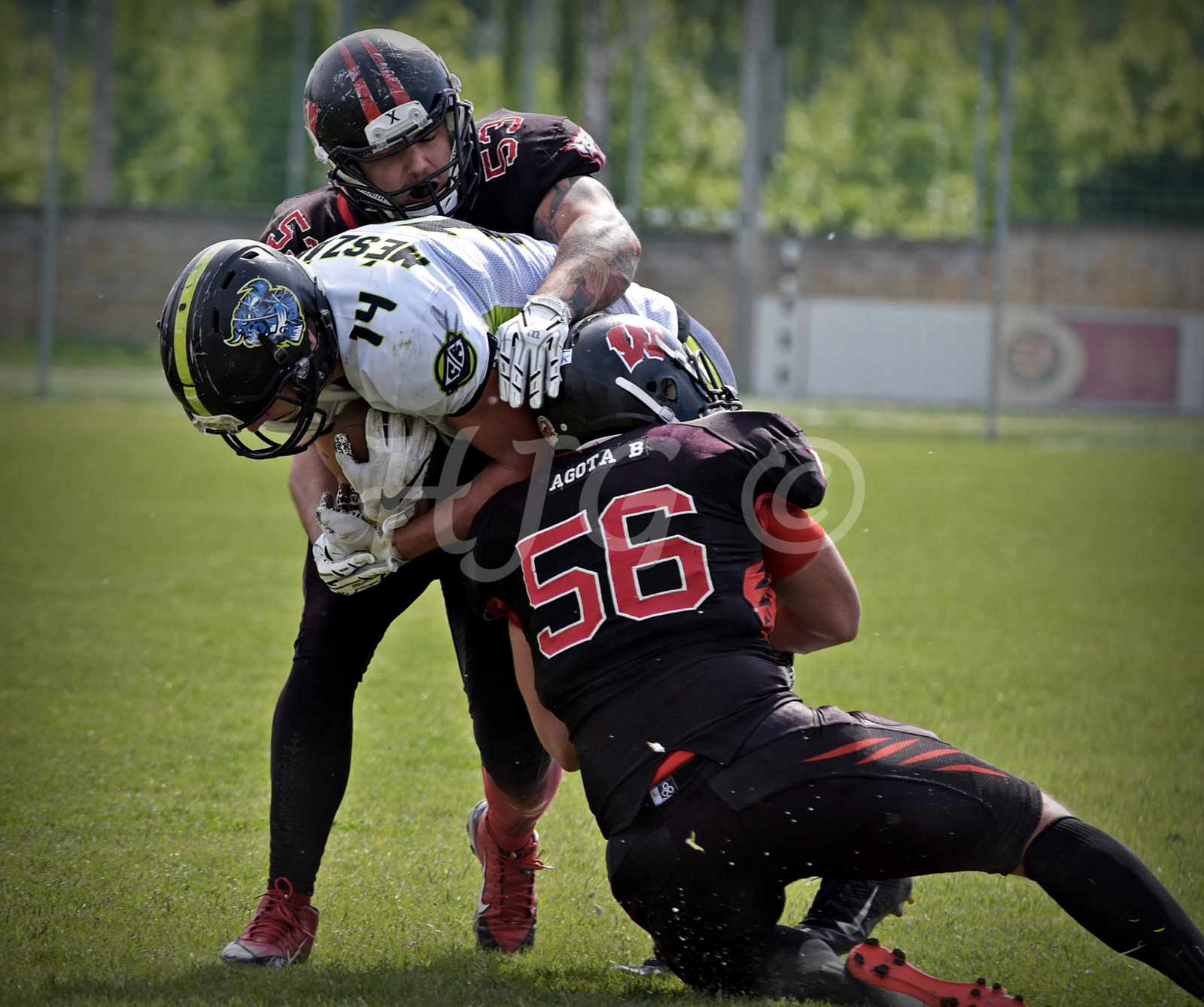 Budapest Cowbells vs Budapest Wolves