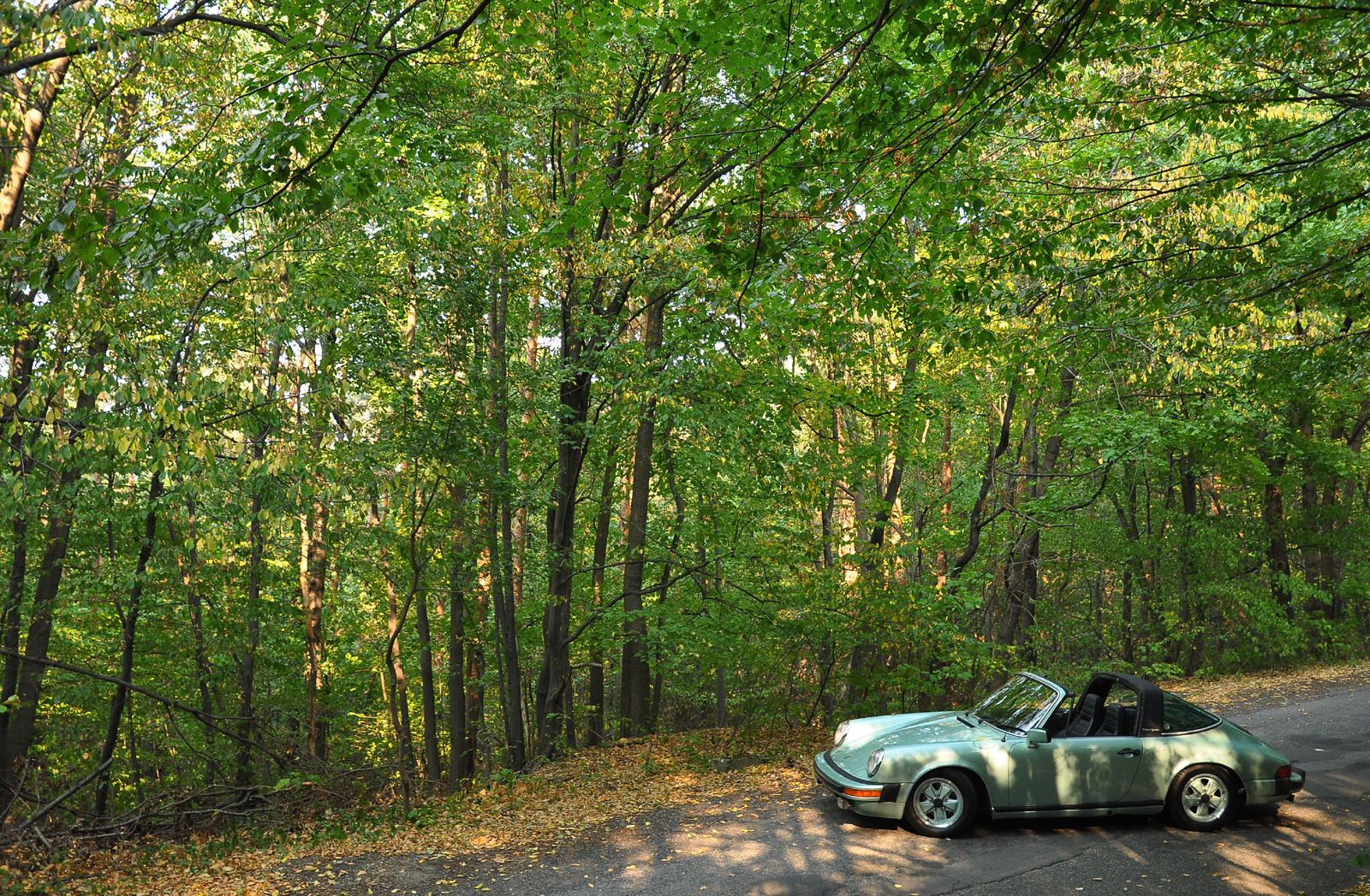 Porsche 911S Targa