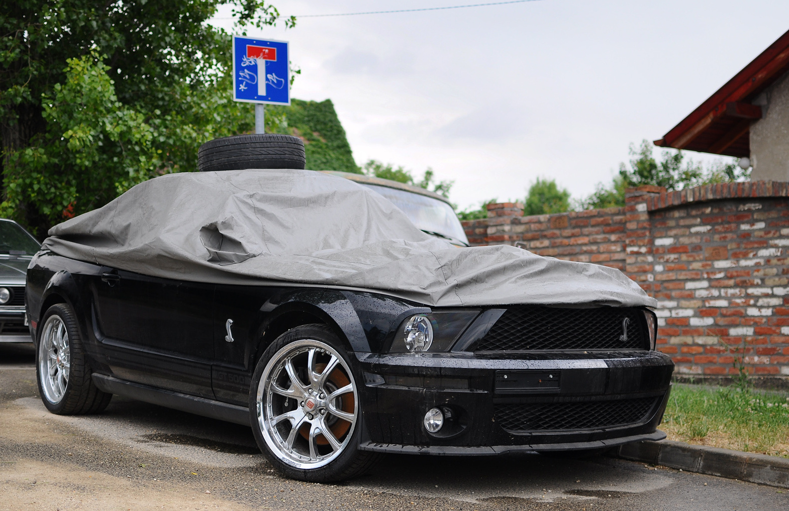 Shelby GT500