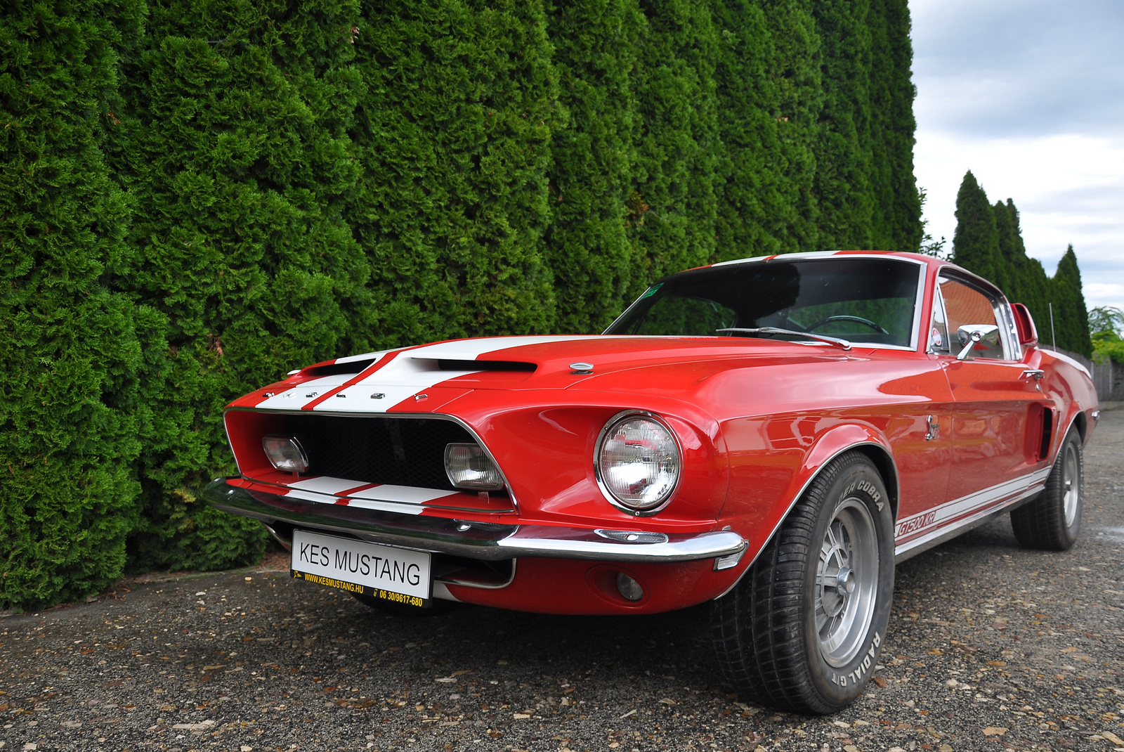 Shelby GT500 KR 1968