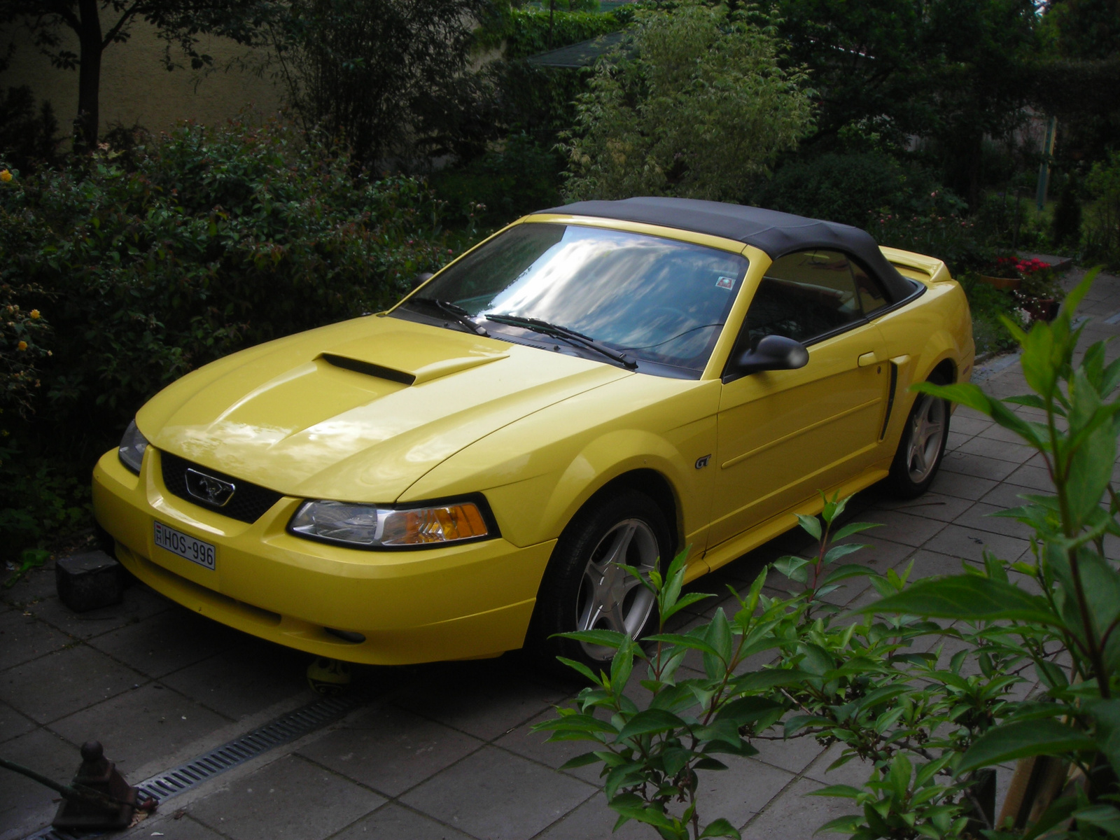 Ford Mustang Convertible