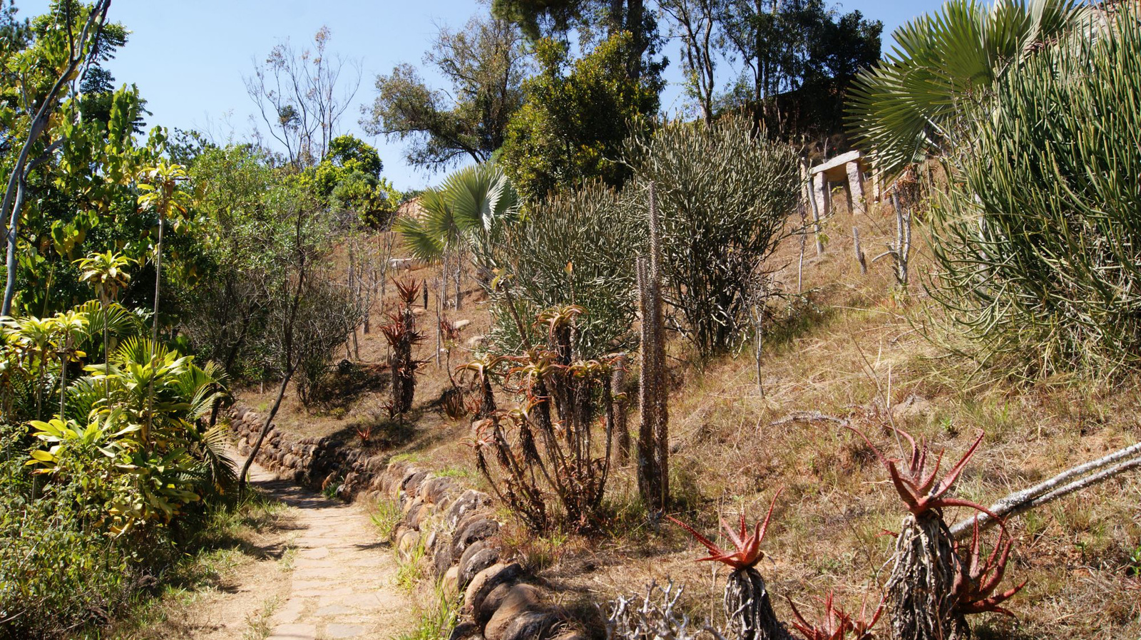 A lemúrpark botanikuskert is.