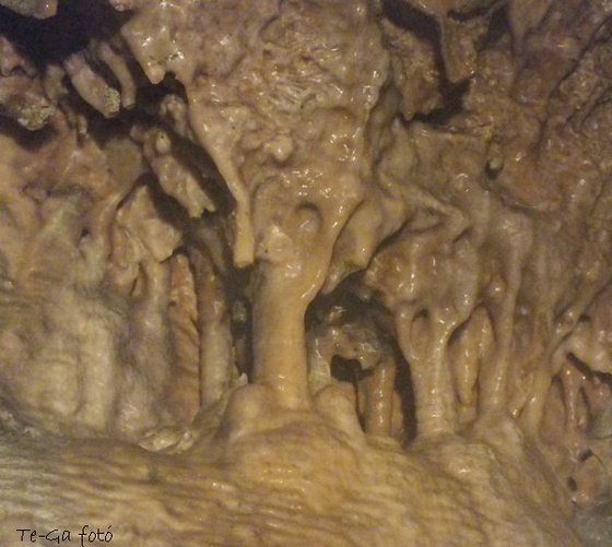 pálvölgyi barlang 25