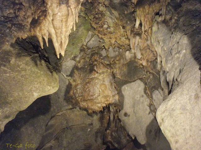 pálvölgyi barlang 30