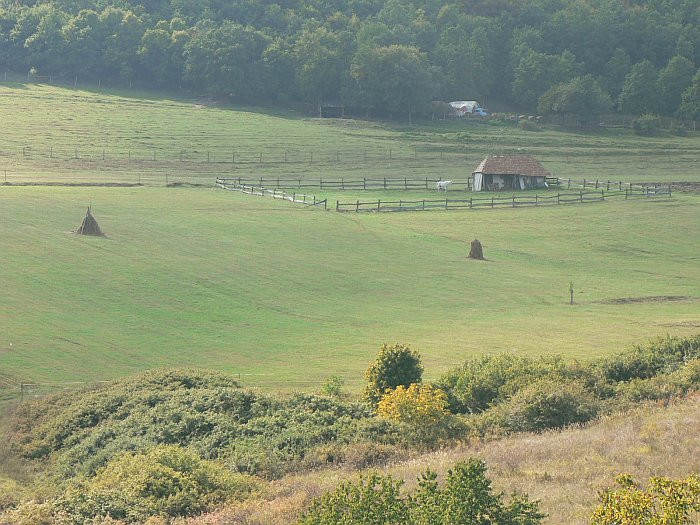 Hollókői táj