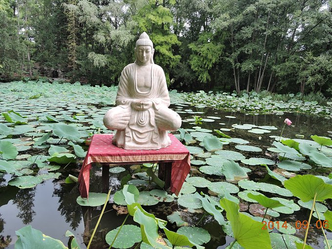 Szeged - fűvészkert - Buddha-lótusztó