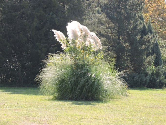 Szarvasi arborétum - 4