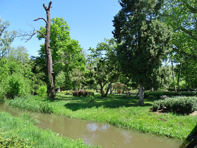 Szombathely-kámoni arborétum - park1