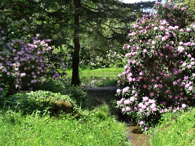 Szombathely-kámoni arborétum - park5