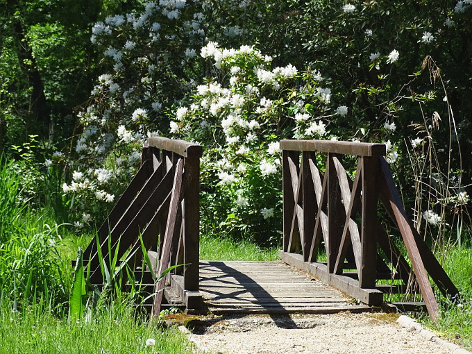 Szombathely-kámoni arborétum - park7