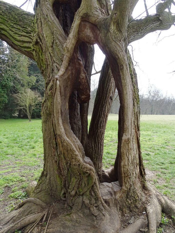 Alcsút arborétum - 35