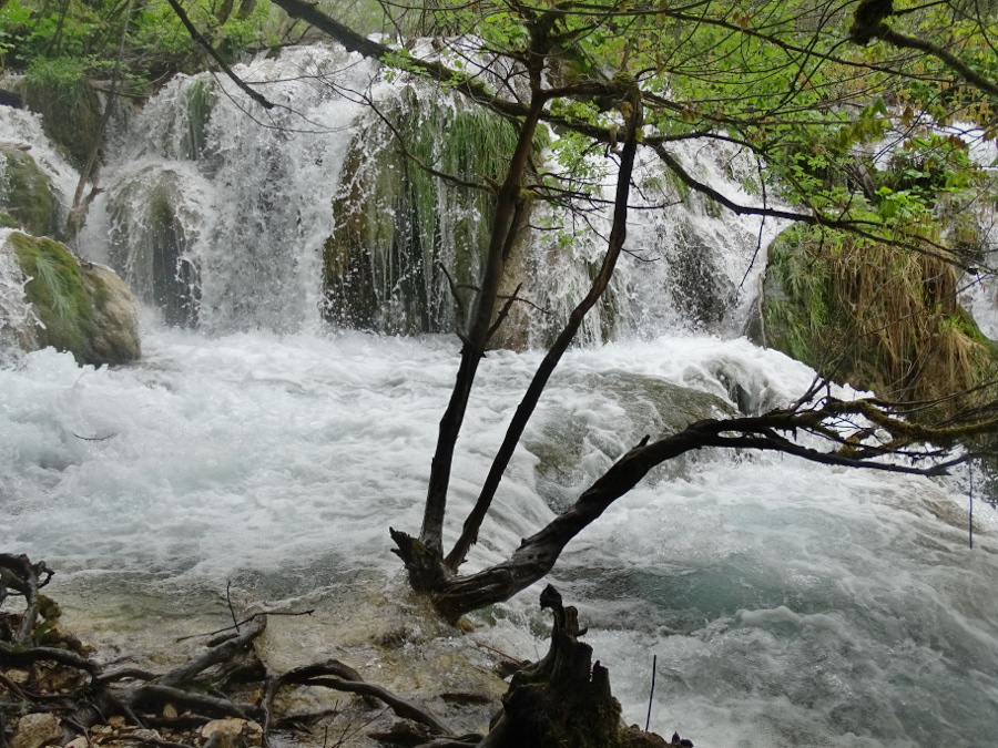 Plitvice - alsótavak 22