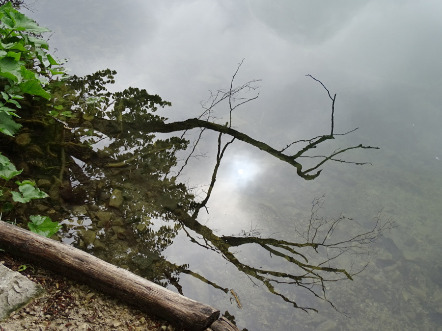 Plitvice - felsőtavak 15