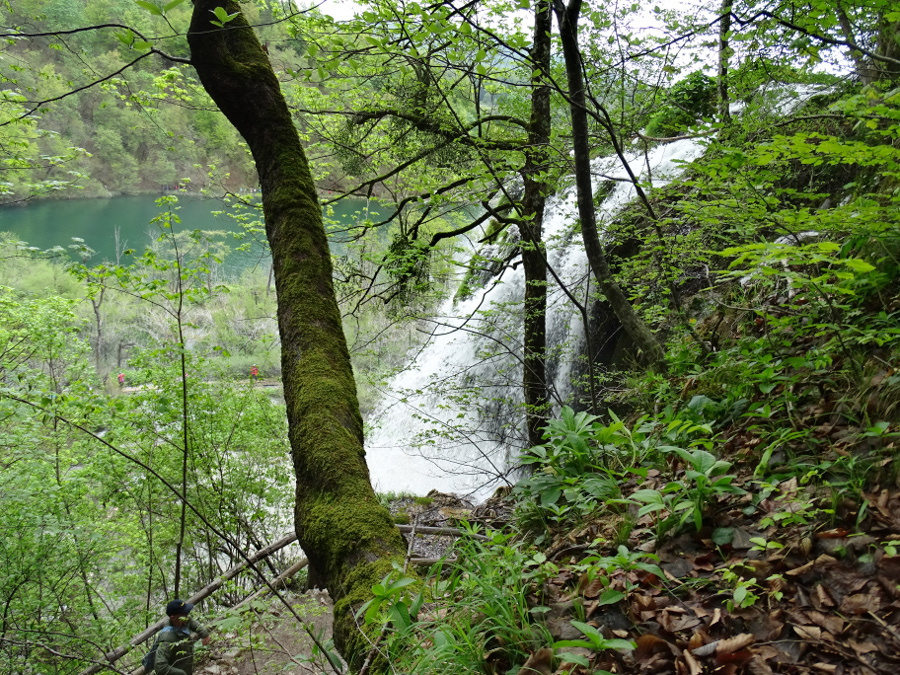 Plitvice - felsőtavak 36