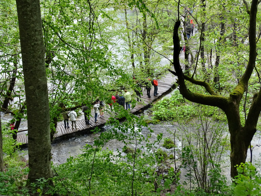 Plitvice - felsőtavak 39