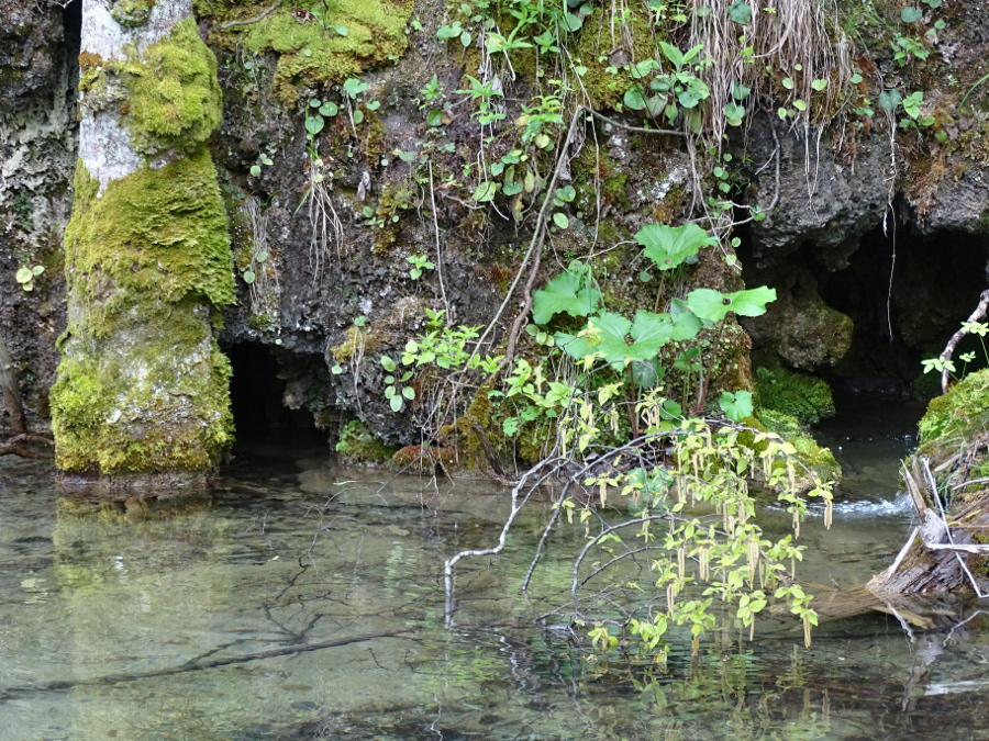 Plitvice - felsőtavak 48