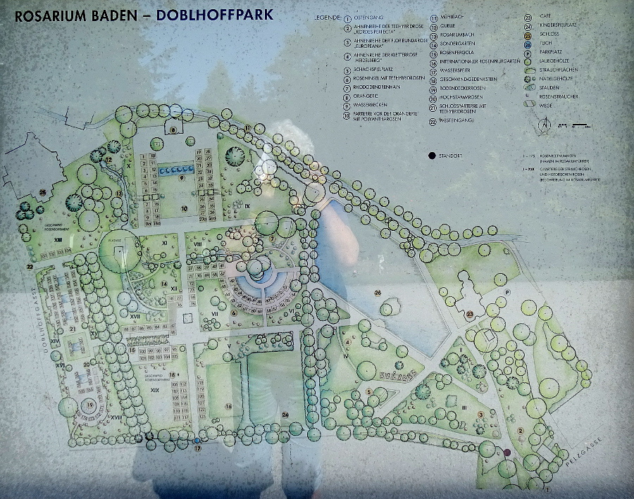 Baden - rosarium Doblhoffpark térkép