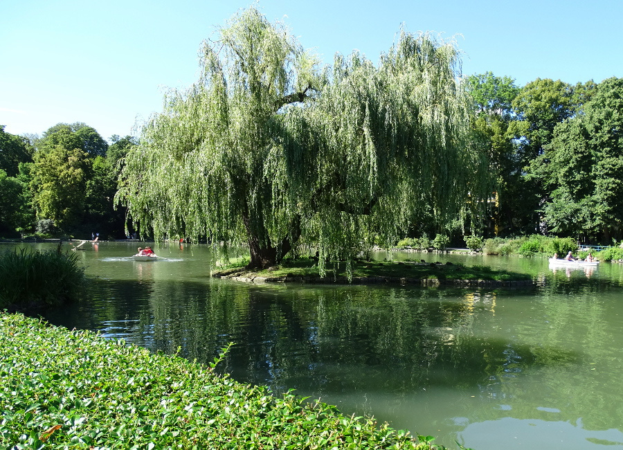 Baden - rosarium tó