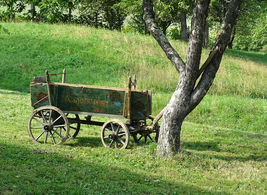 DSC08575-Heiligenbrunn pincesor 9