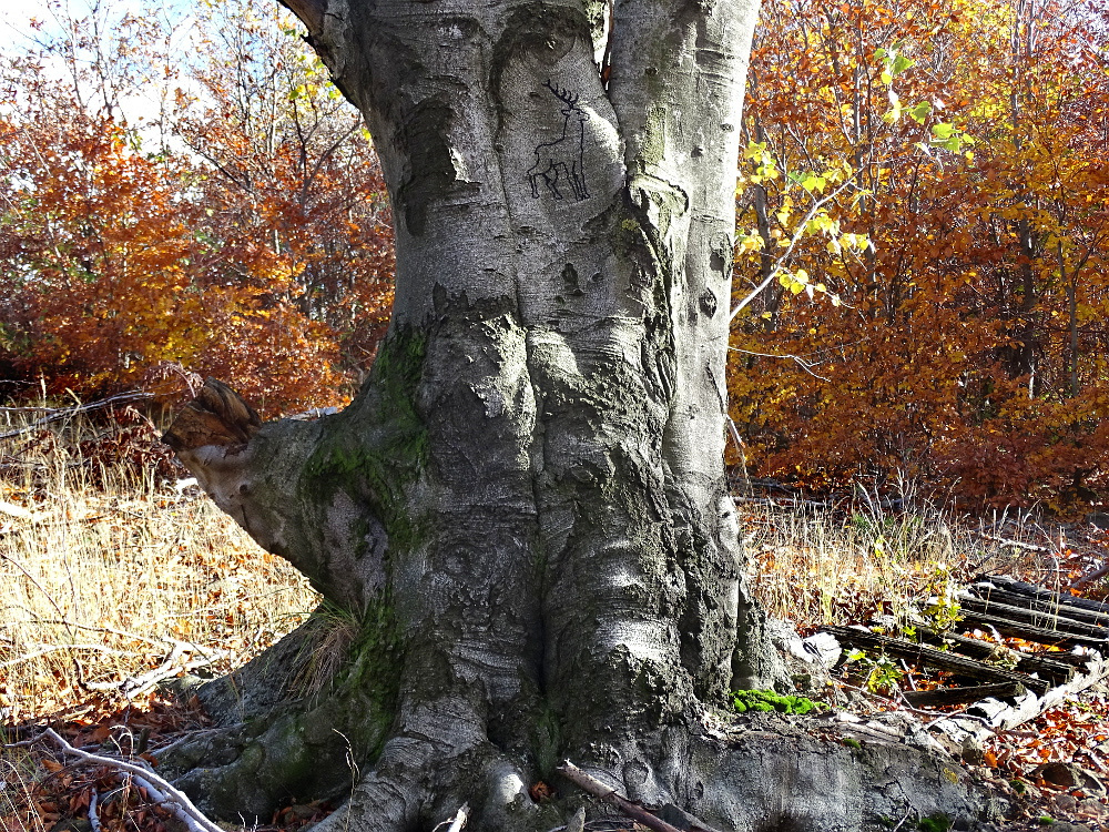 DSC09831 - Galyatető