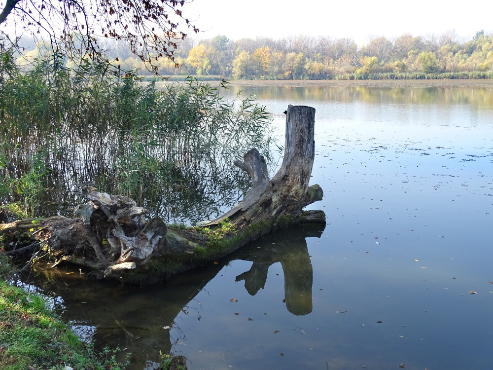 Tiszafüred -Tisza-tó 33