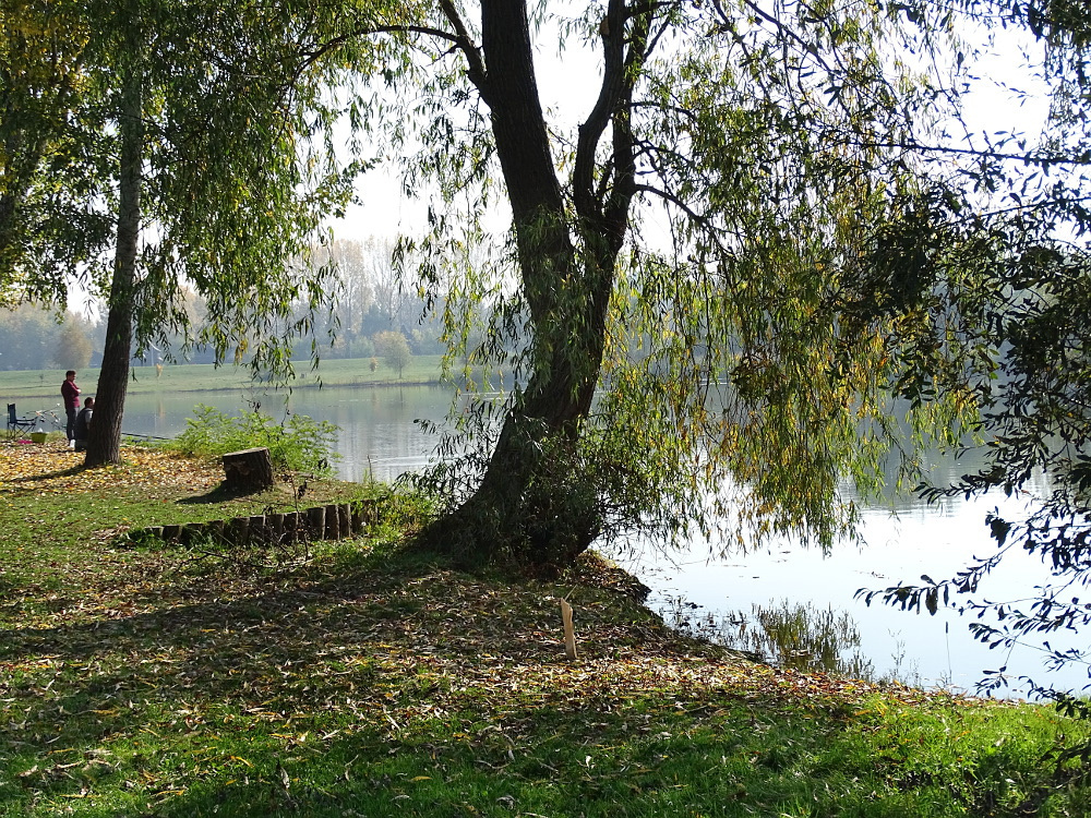 Tiszafüred -Tisza-tó part 9