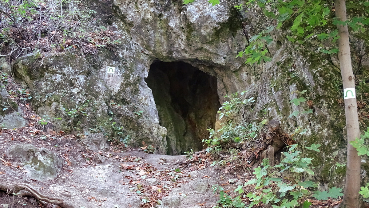 Bp-Jánoshegy 5 átjáróbarlang