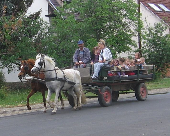 Kocsizik az Óvoda I