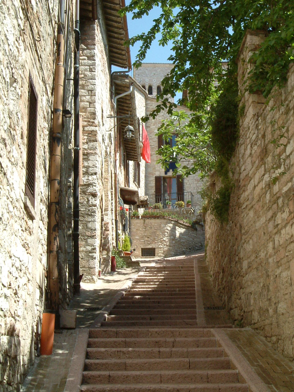 assisi115