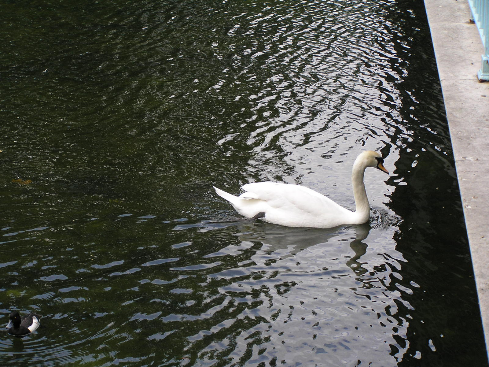 London 066 St. James park