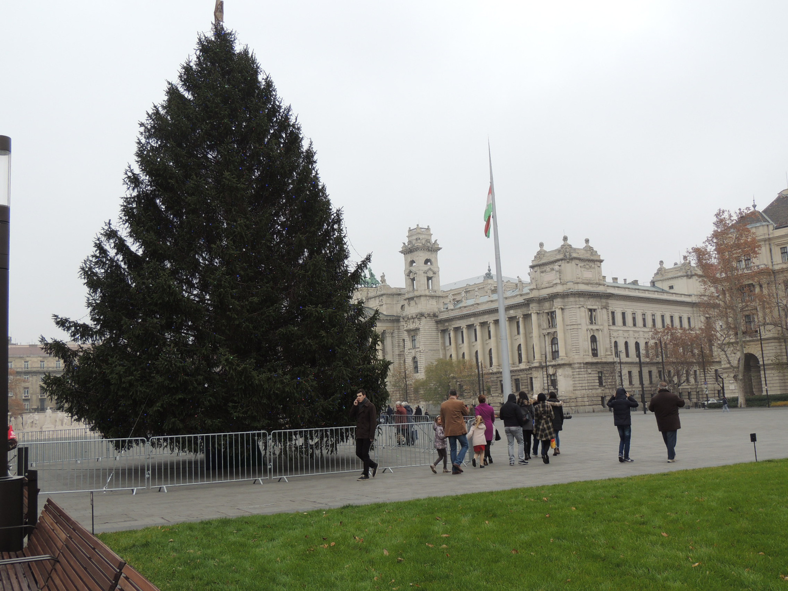 2015-12-05 121 Parlamenti fenyő