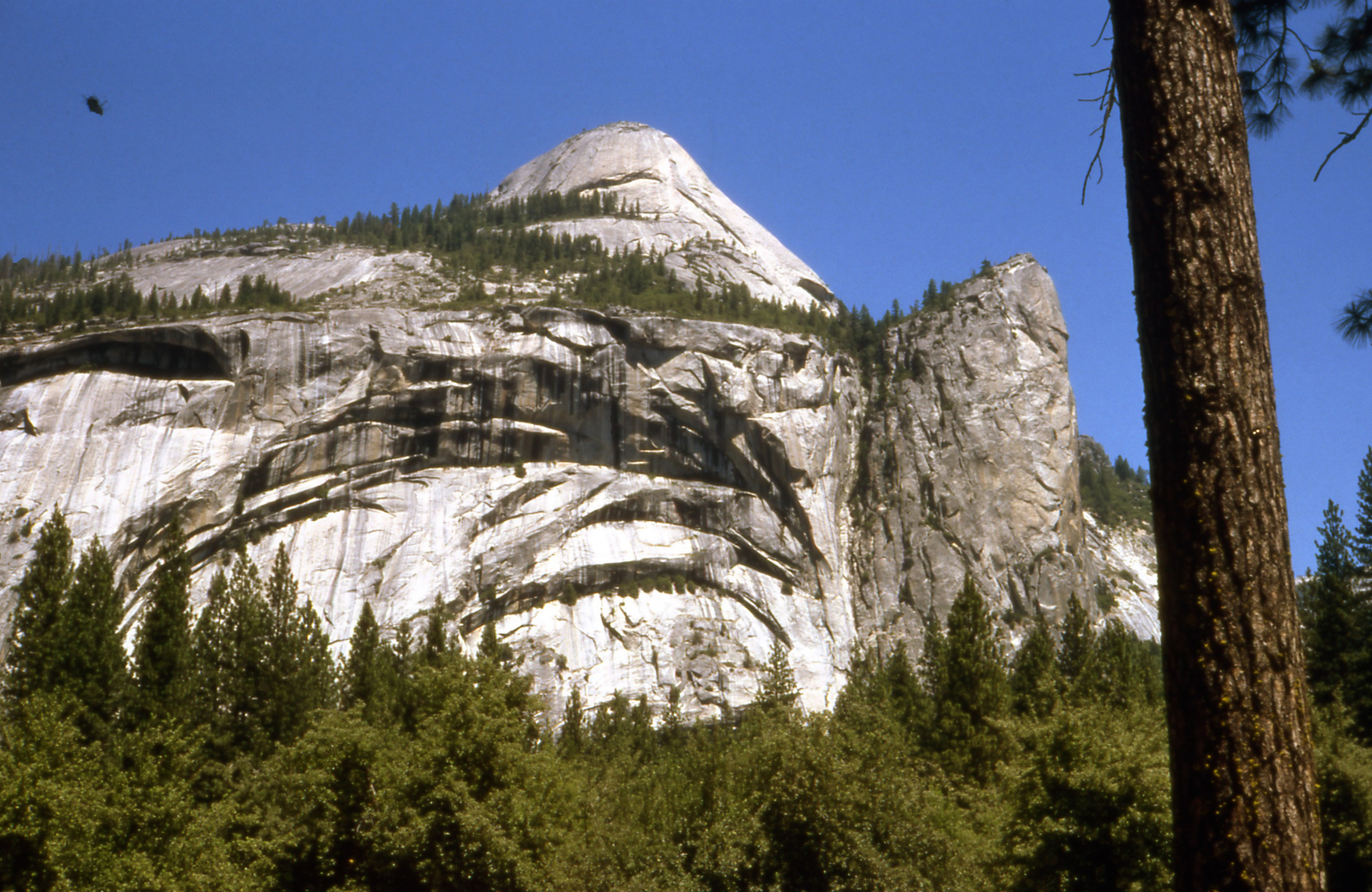 Yosemite park