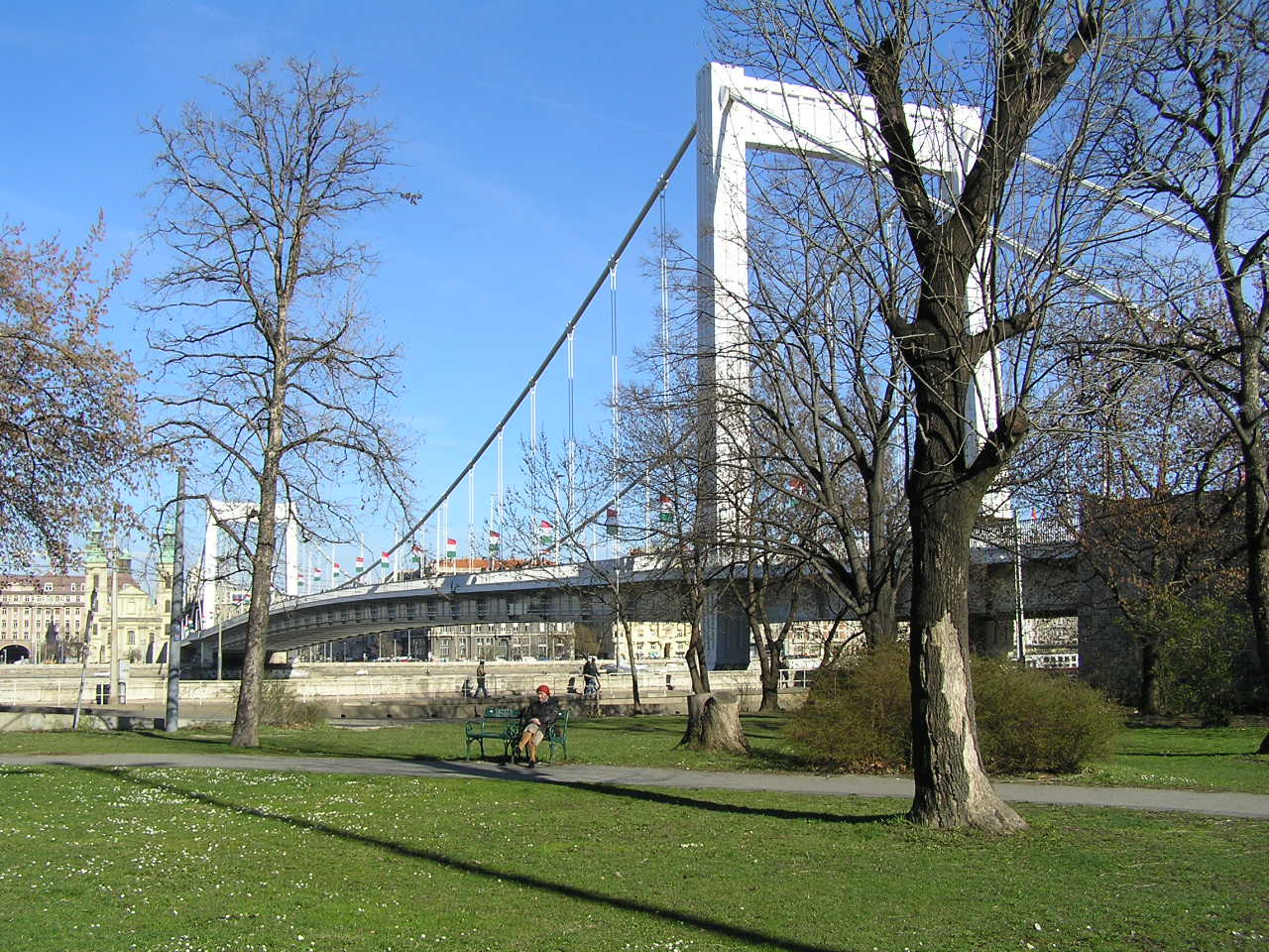 004 Budapest Erzsébet híd
