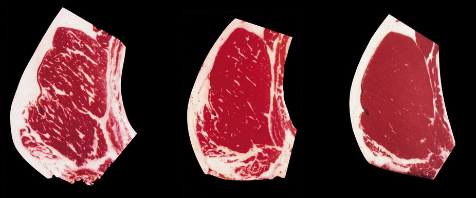 Steak USDA beefgrades