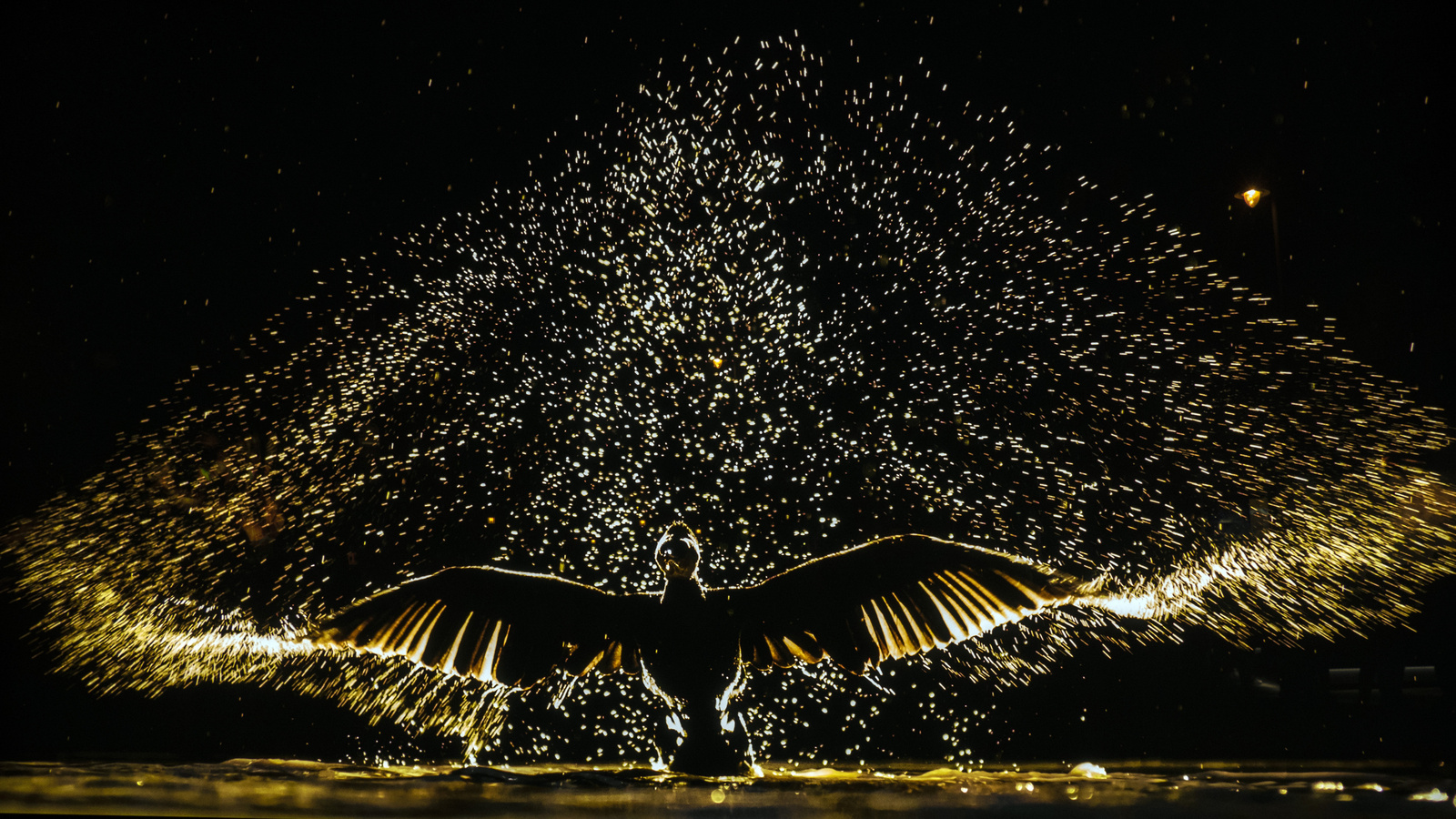Máté Bence fotókiállítás - Éjszakai repülés