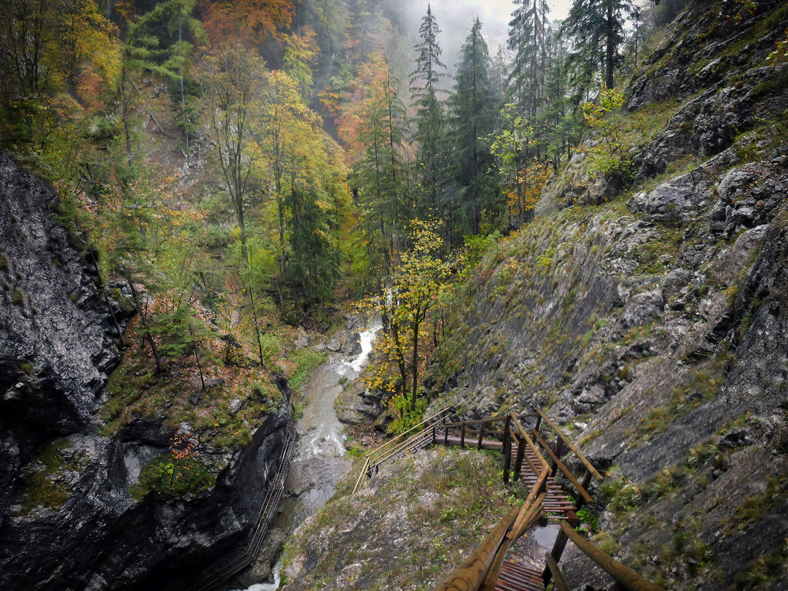 Bärenschützklamm