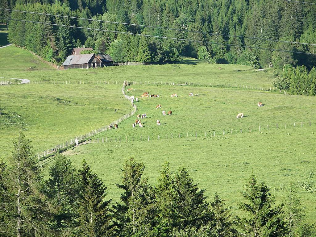 2009-06-23 A Rába-forrásánál és az Alpokban járt a PRONAS