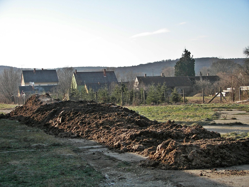 Csörötnek 2010-12-27