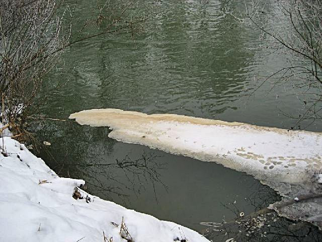 2008-01-11 Lapincs jégminták vizsgálata Bécsben