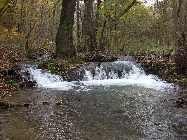 Kirándulás 201