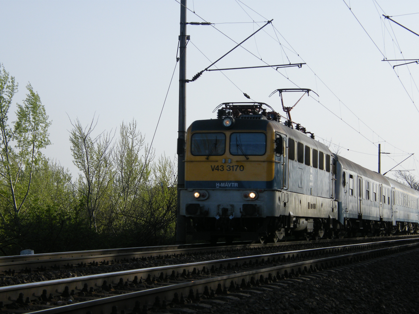 V43 3170 Szili