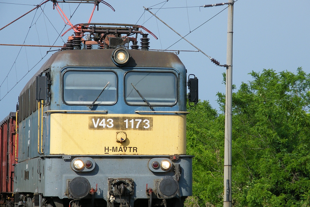 V43 1173