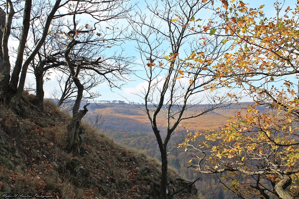 Indafotósétákok a Pilisben (117)