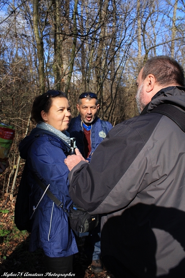 Fotósétákok a Budai hegyekben (64)