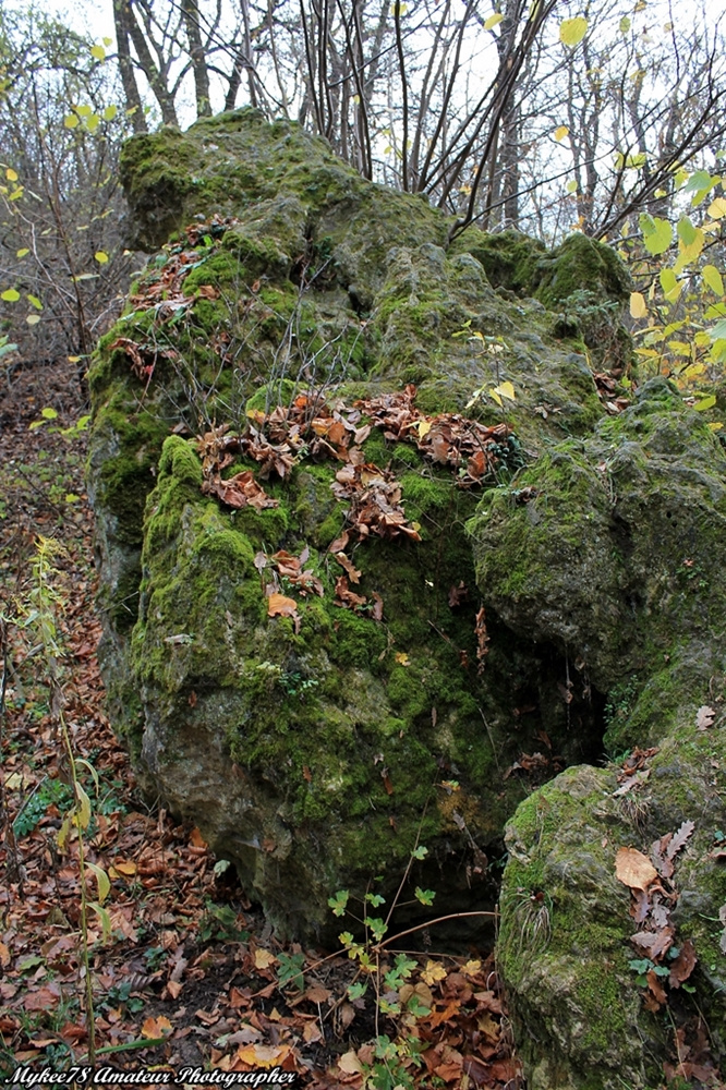 Fotósétákok a Budai hegyekben (110)