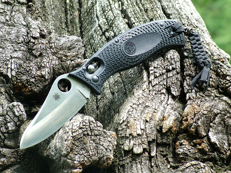 Spyderco D'Allara