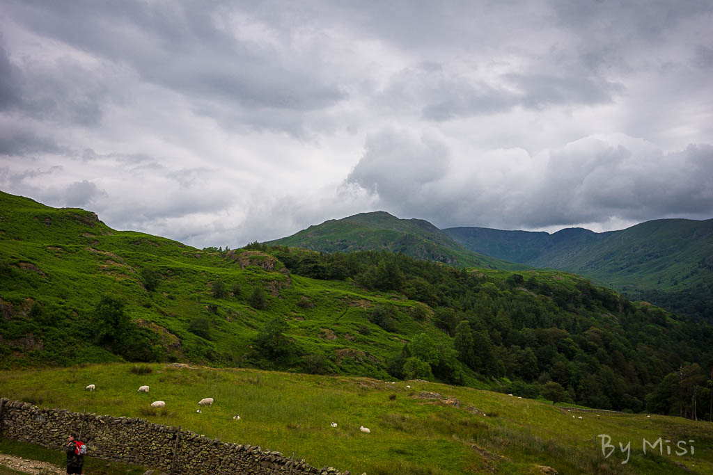 Lake District-5