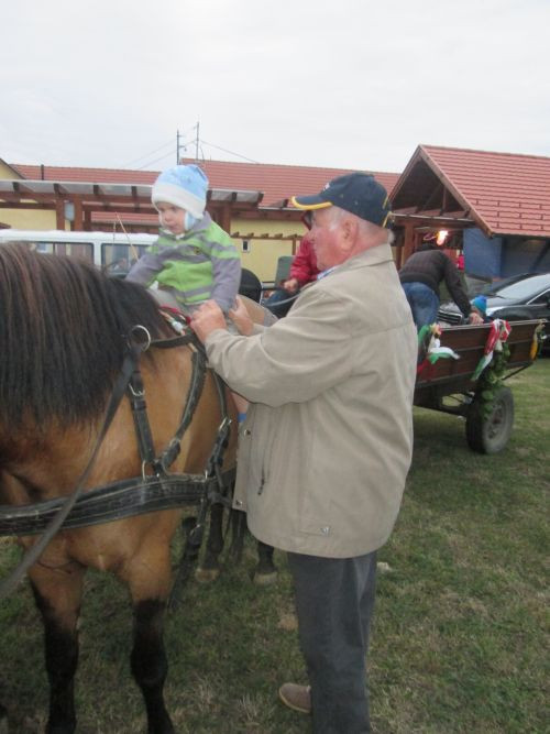 20150926-Répceszentgyörgy Falunap(149)