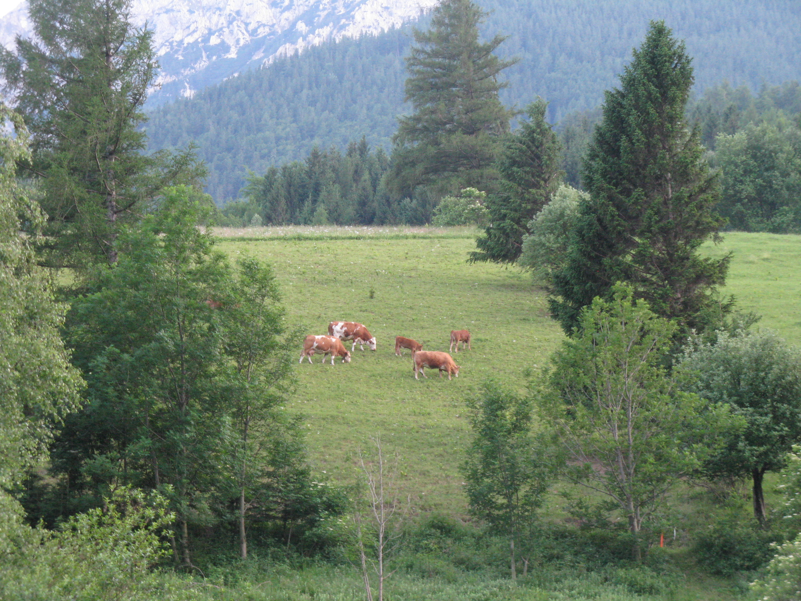 Schneeberg